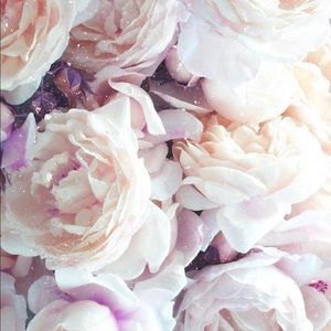 Meet your Posher, Chrissy